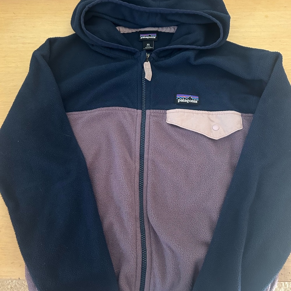 Patagonia Blue and Purple Puffer Jacket